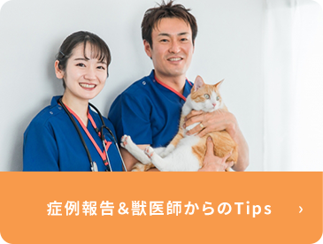 症例報告&獣医師からのTips
