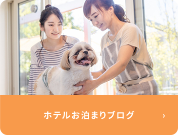 ホテルお泊まりブログ